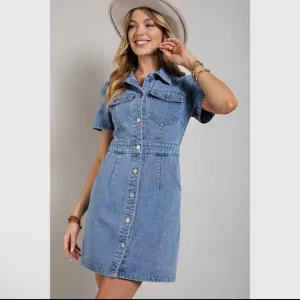 042 - Denim Button-Up Dress