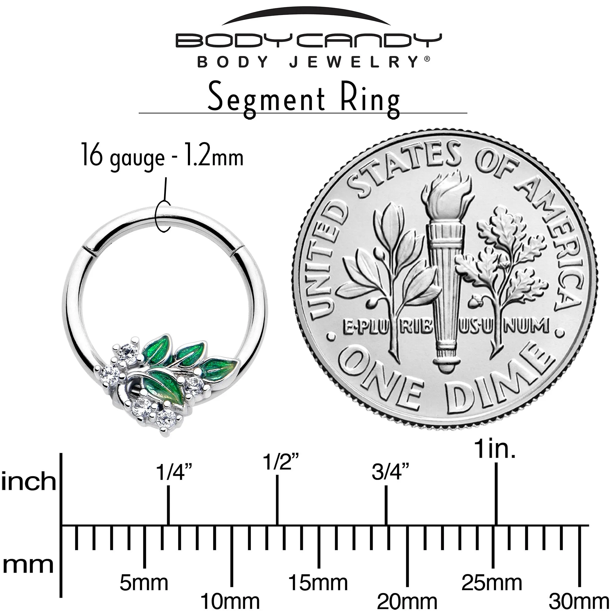 16 Gauge 3/8 Clear CZ Gem Morning Leaves Hinged Segment Ring