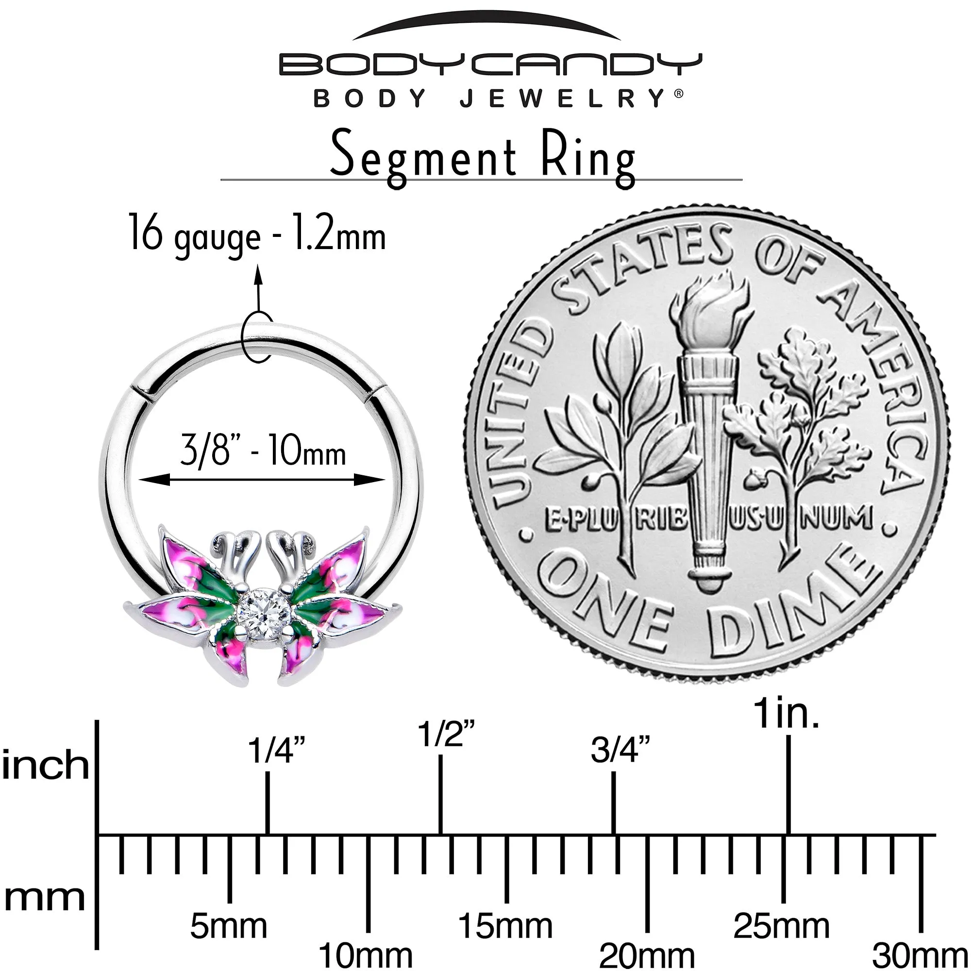 16 Gauge 3/8 Clear CZ Gem Profile Butterflies Hinged Segment Ring