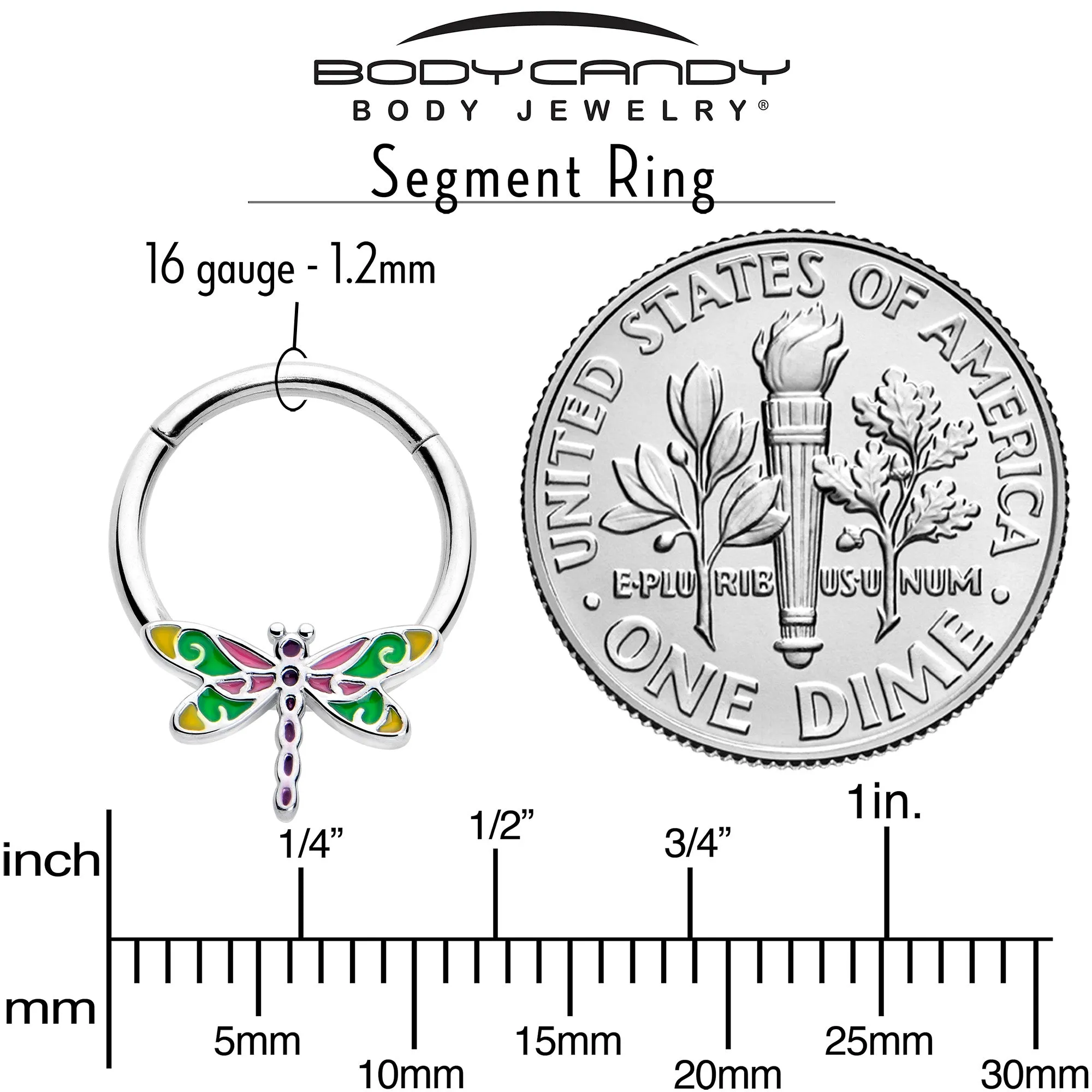 16 Gauge 3/8 Dragonfly Color Hinged Segment Ring