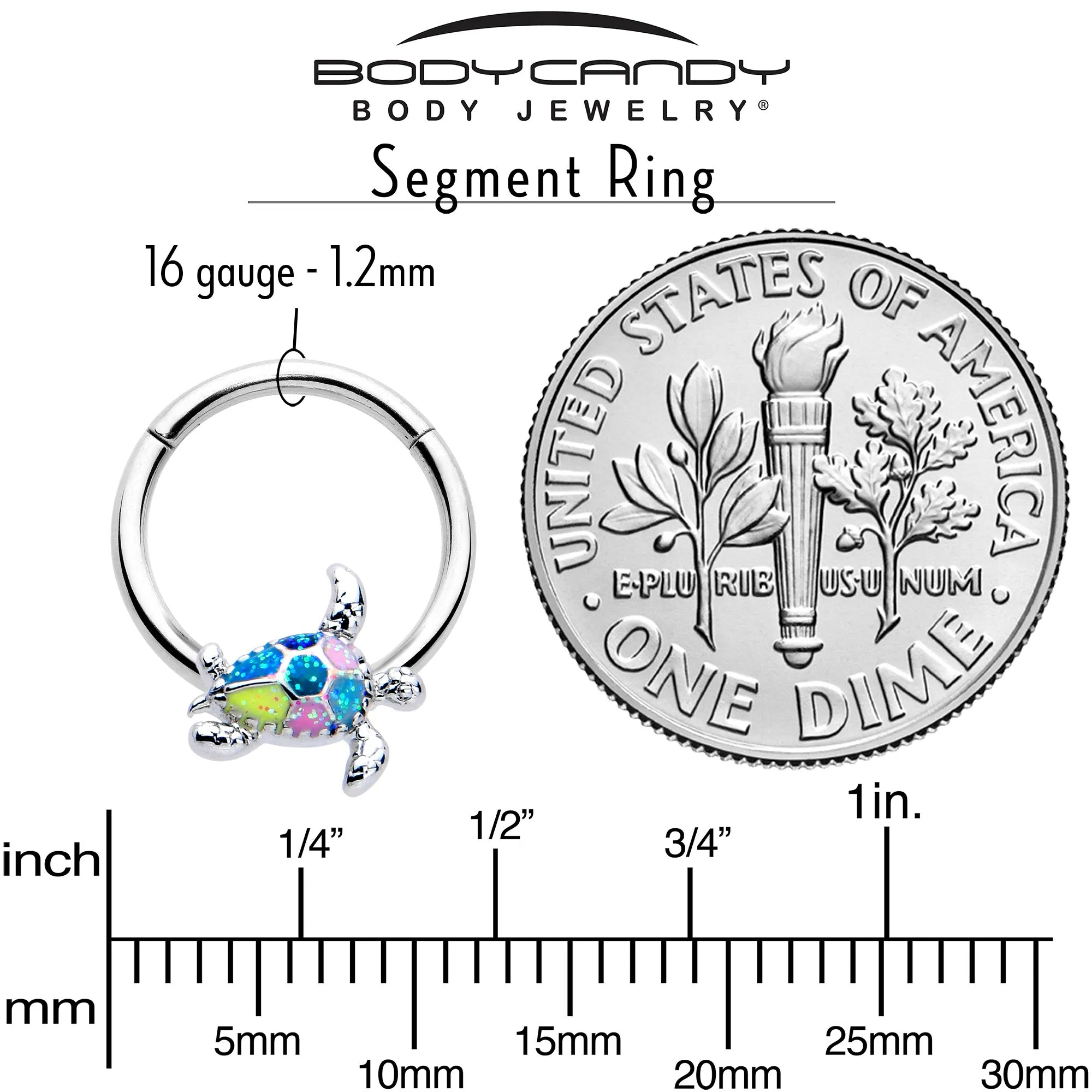 16 Gauge 3/8 Glitter Turtle Hinged Segment Ring