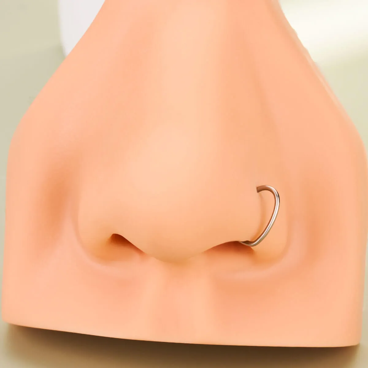 20G Titanium Heart Seamless Nose Ring