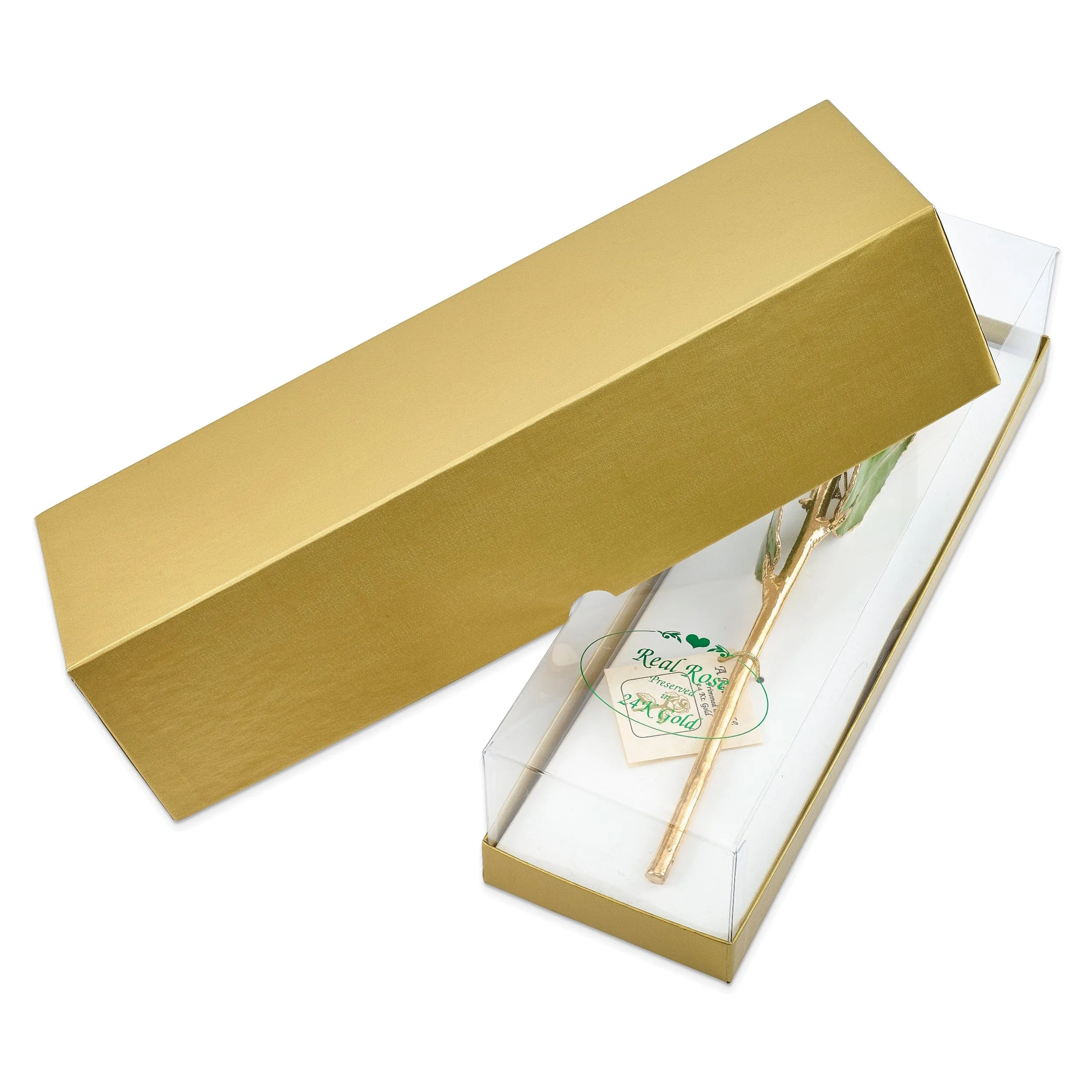 24k Gold Plated Trim White and Burgundy Rose