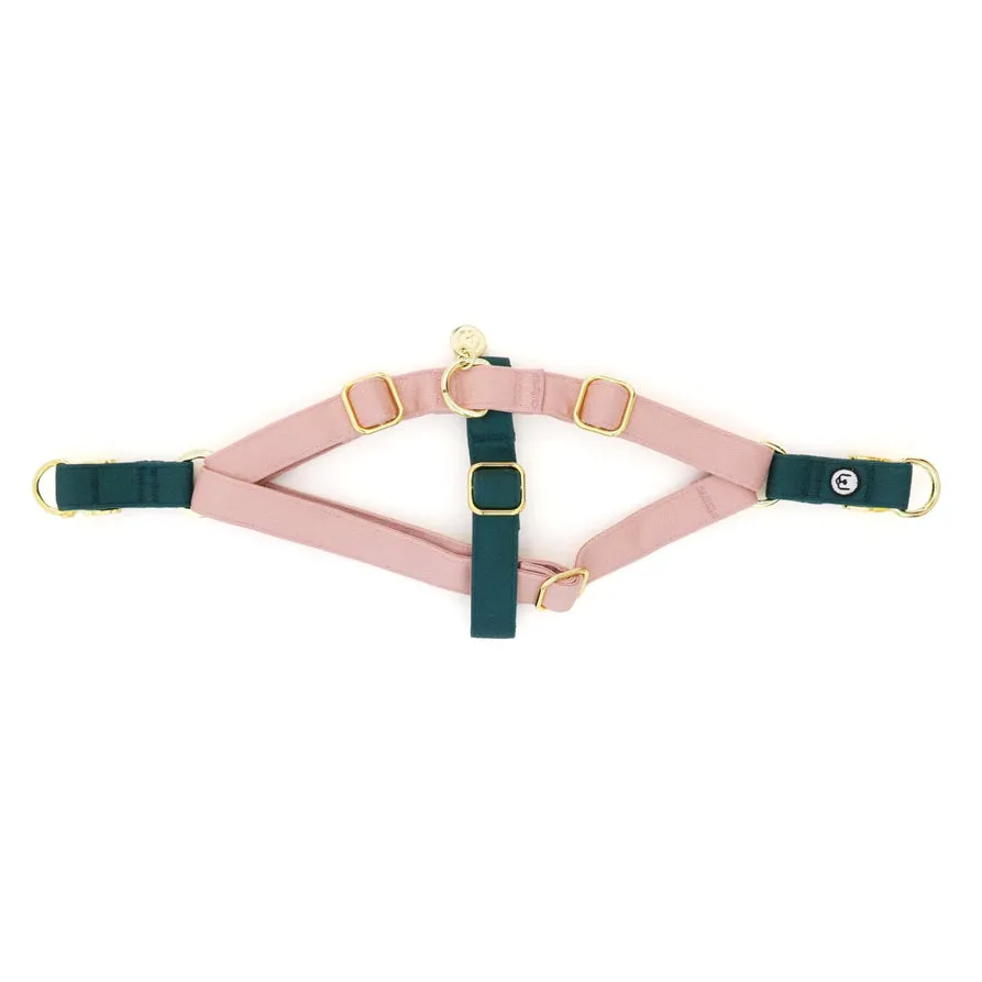 Eat Play Wag Duo-Clip Harnesses