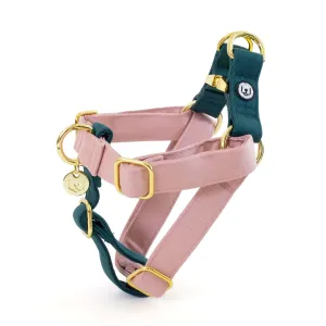 Eat Play Wag Duo-Clip Harnesses