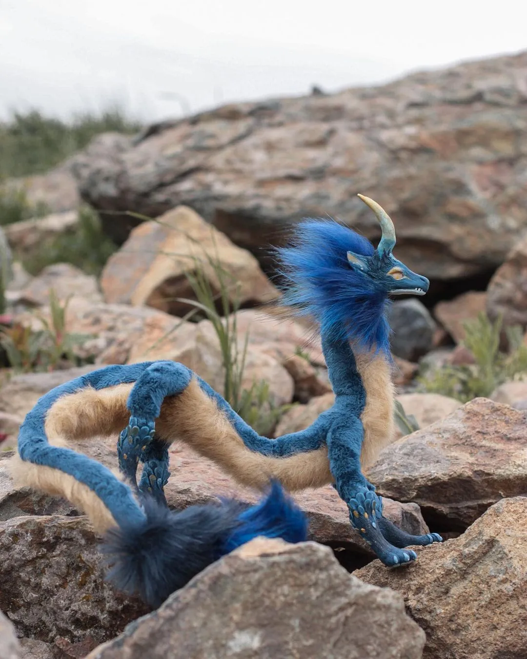 Eel dragon – Blue