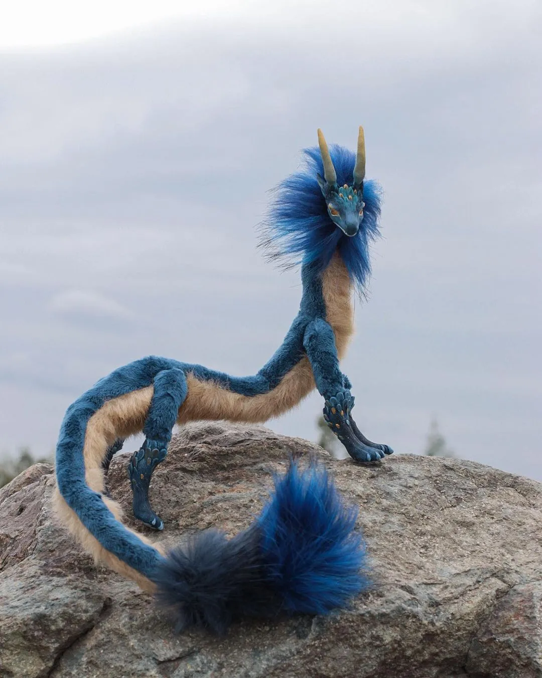 Eel dragon – Blue