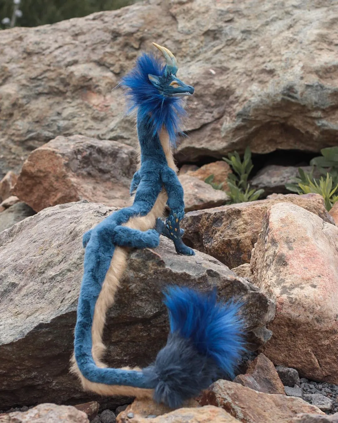 Eel dragon – Blue