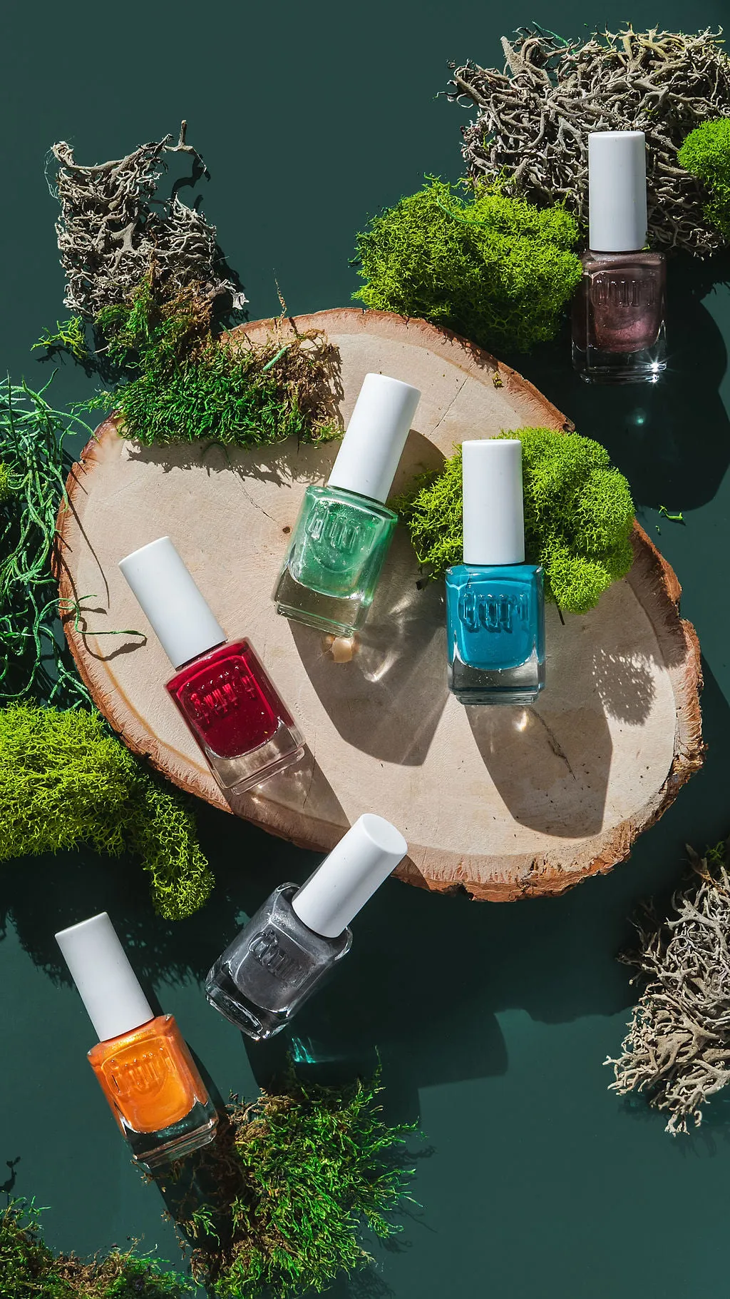 Enchanted Collection, 6 Piece Nail Polish Set