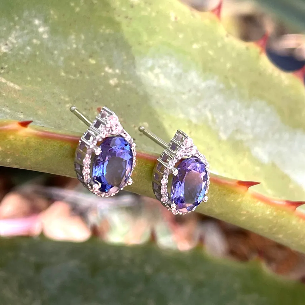 Enchanting Oval Tanzanite Trilogy Detail Diamond Halo Earrings
