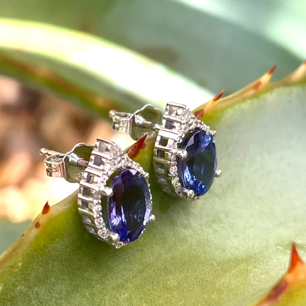 Enchanting Oval Tanzanite Trilogy Detail Diamond Halo Earrings