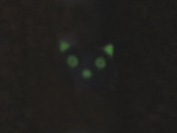 Glow Cat Mood Ring