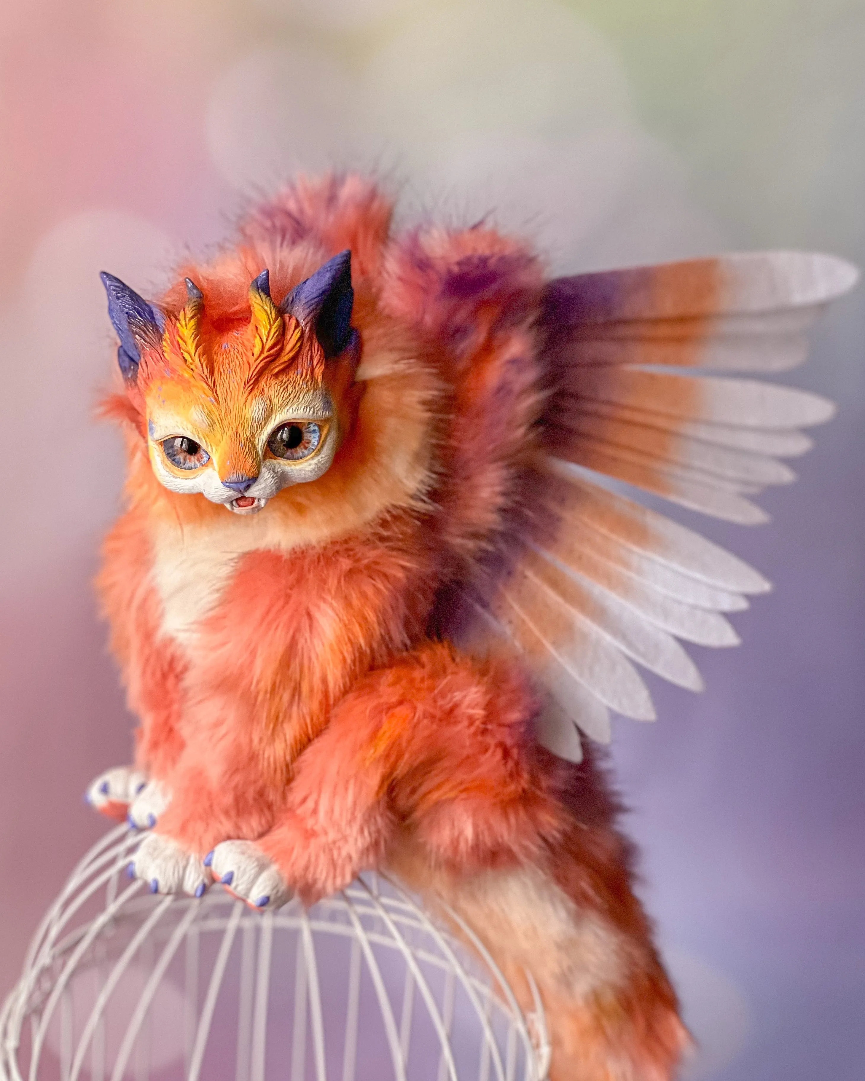 Harpy cat– Orange
