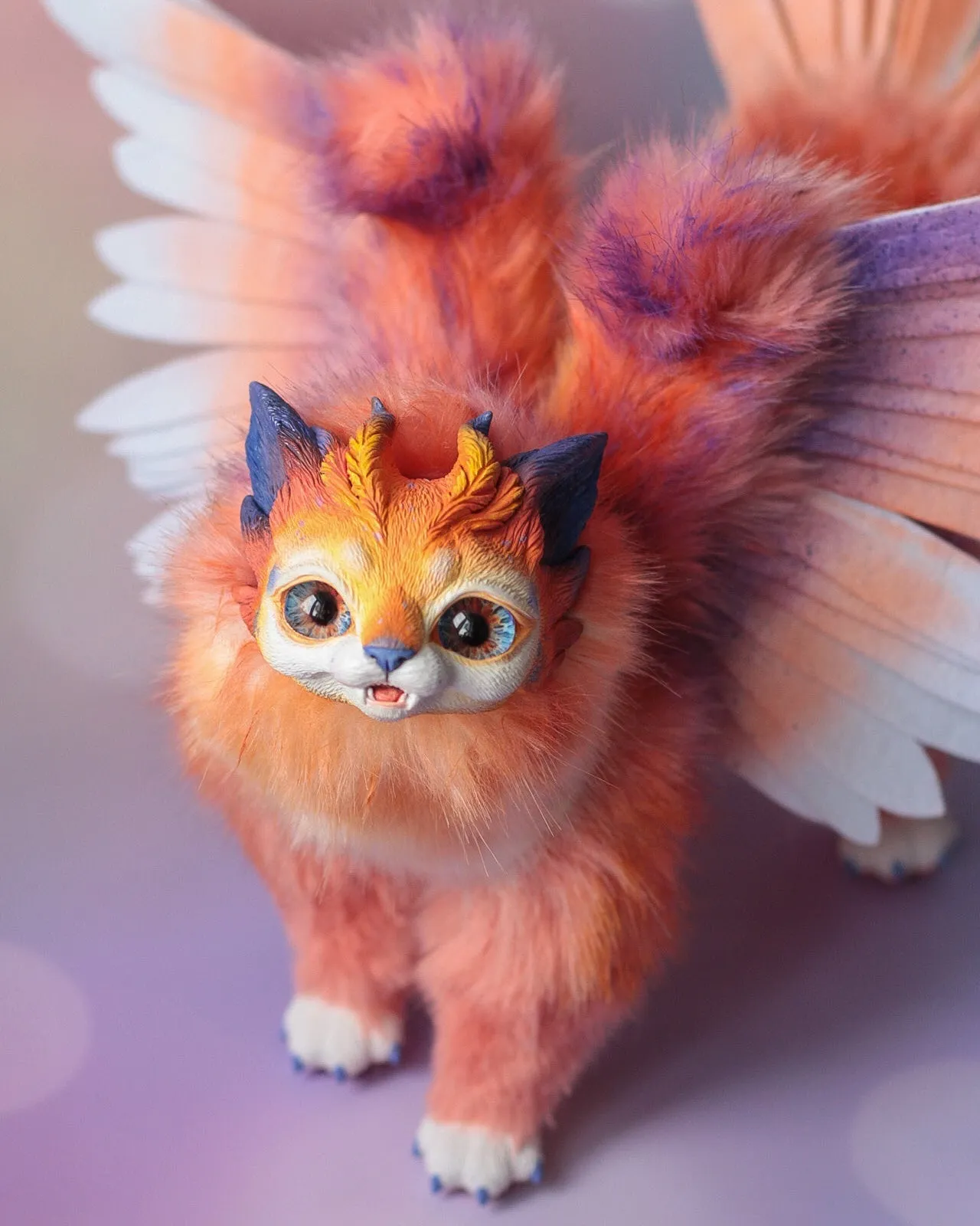 Harpy cat– Orange