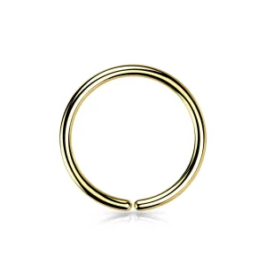 Implant Titanium Plain Seamless Hoop Rings