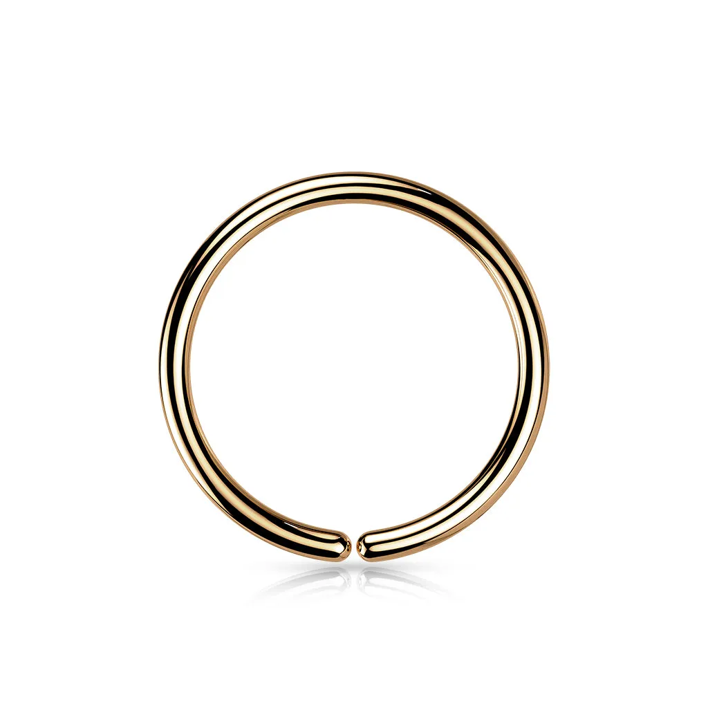 Implant Titanium Plain Seamless Hoop Rings