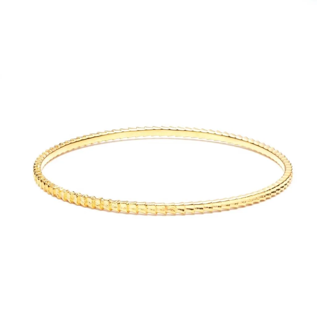 Isiro Gold Vertebrae Bangle