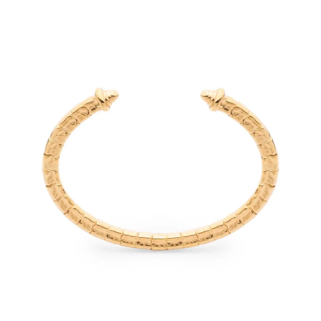 Isiro Gold Vertebrae Bracelet