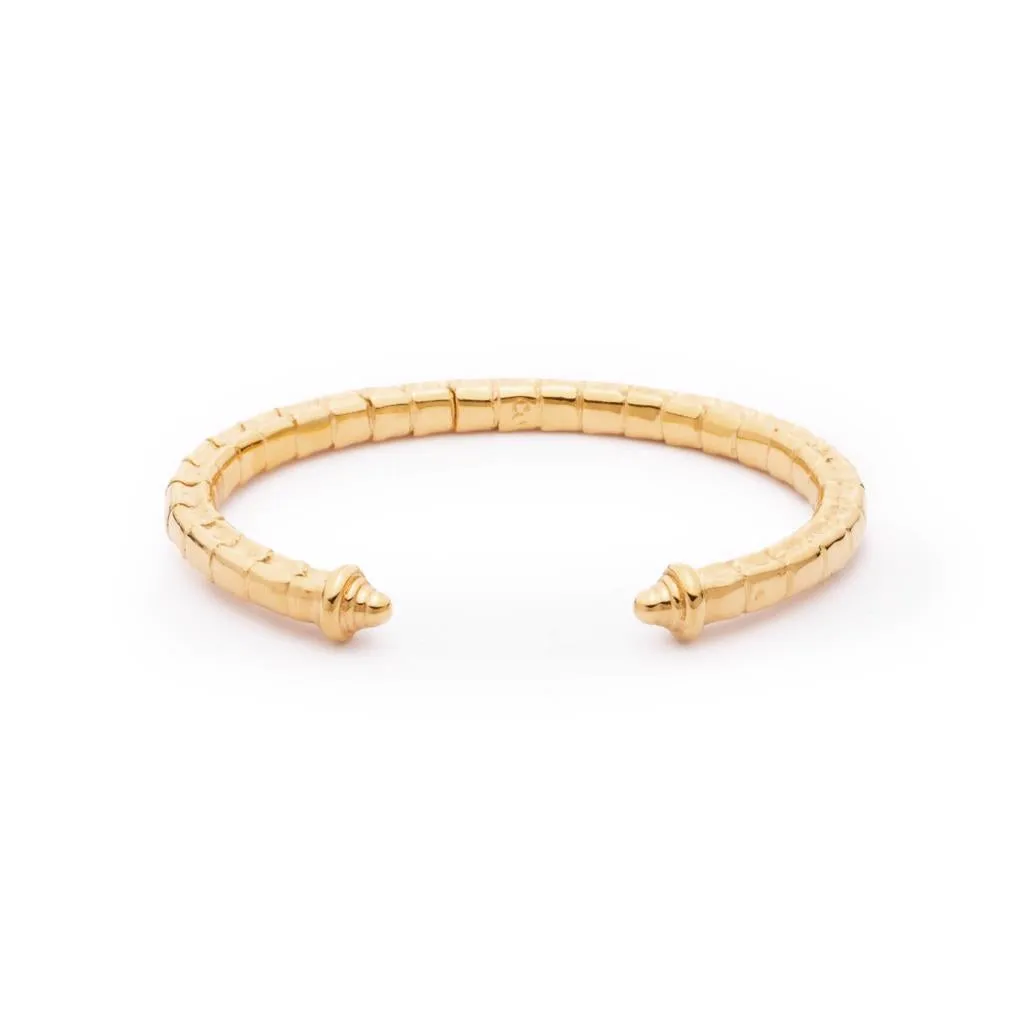 Isiro Gold Vertebrae Bracelet