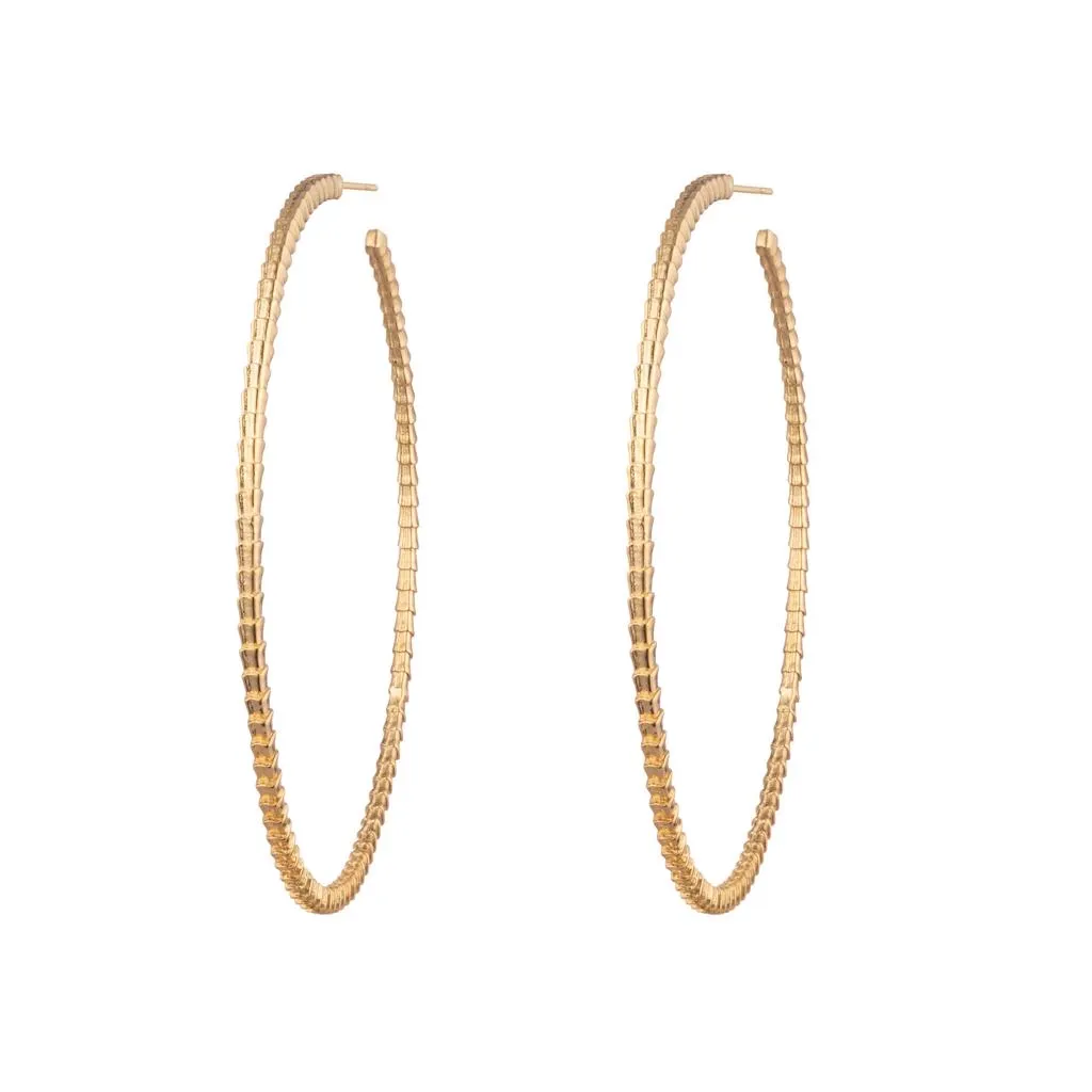 Isiro Gold Vertebrae Hoops