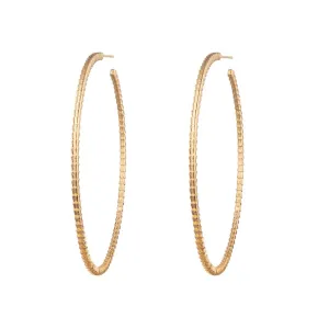 Isiro Gold Vertebrae Hoops