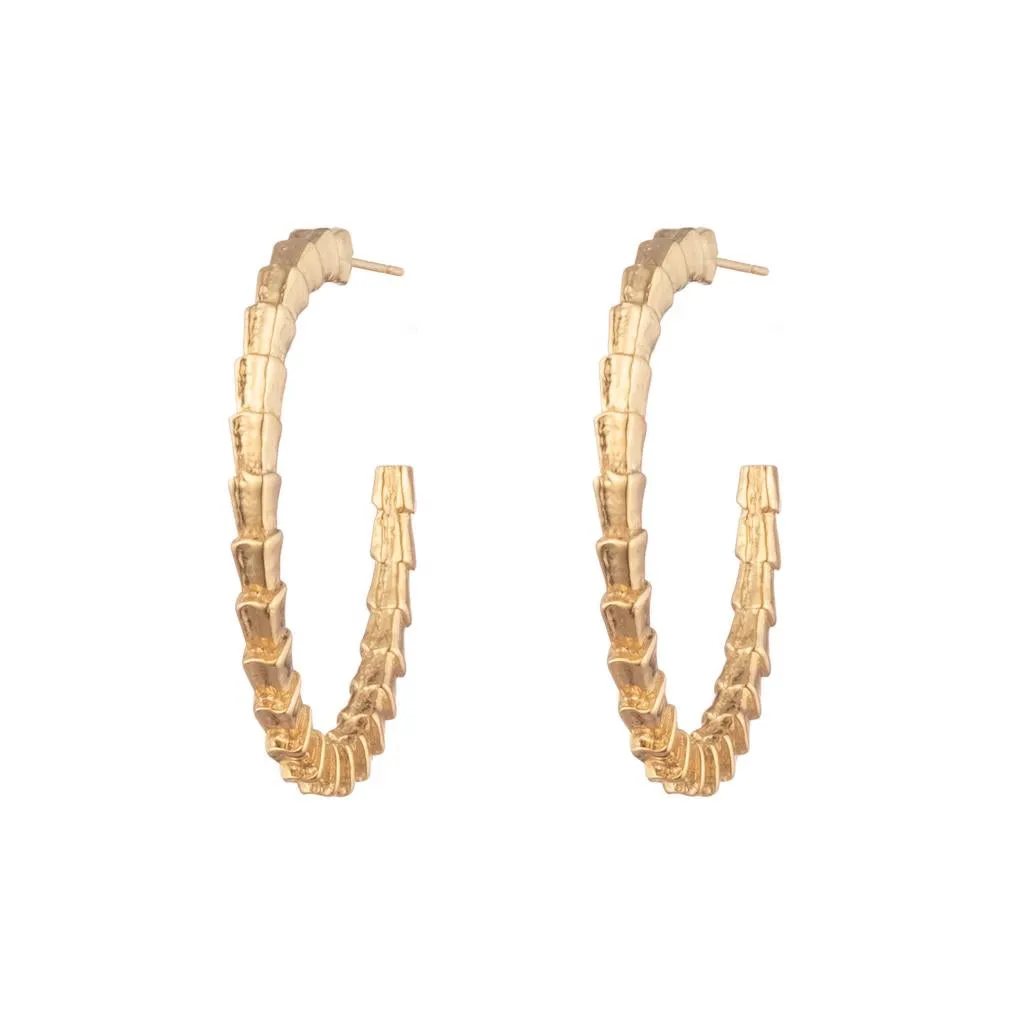 Isiro Gold Vertebrae Hoops