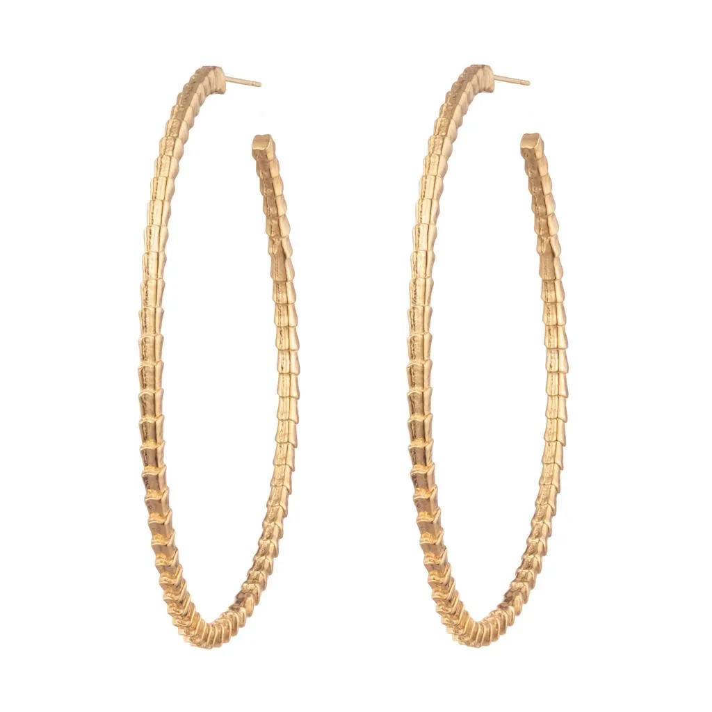 Isiro Gold Vertebrae Hoops