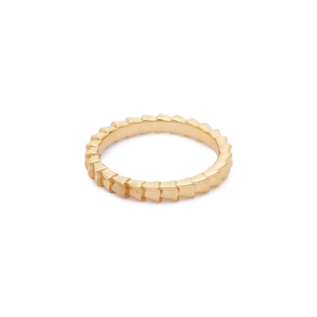 Isiro Gold Vertebrae Ring