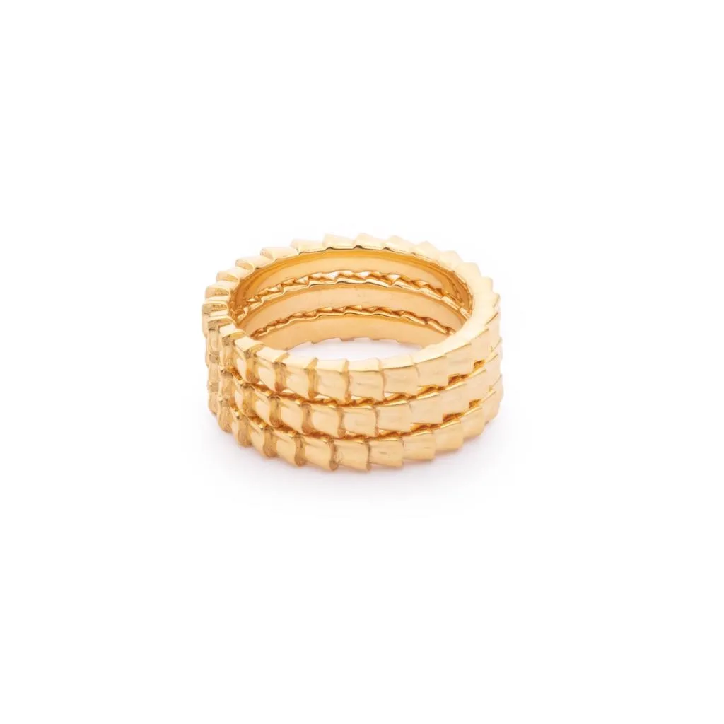 Isiro Gold Vertebrae Ring