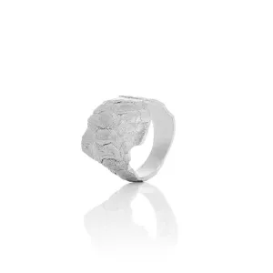 Men´s ring