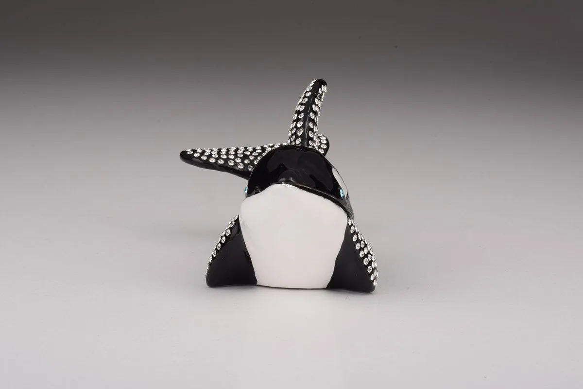 Orca Whale
