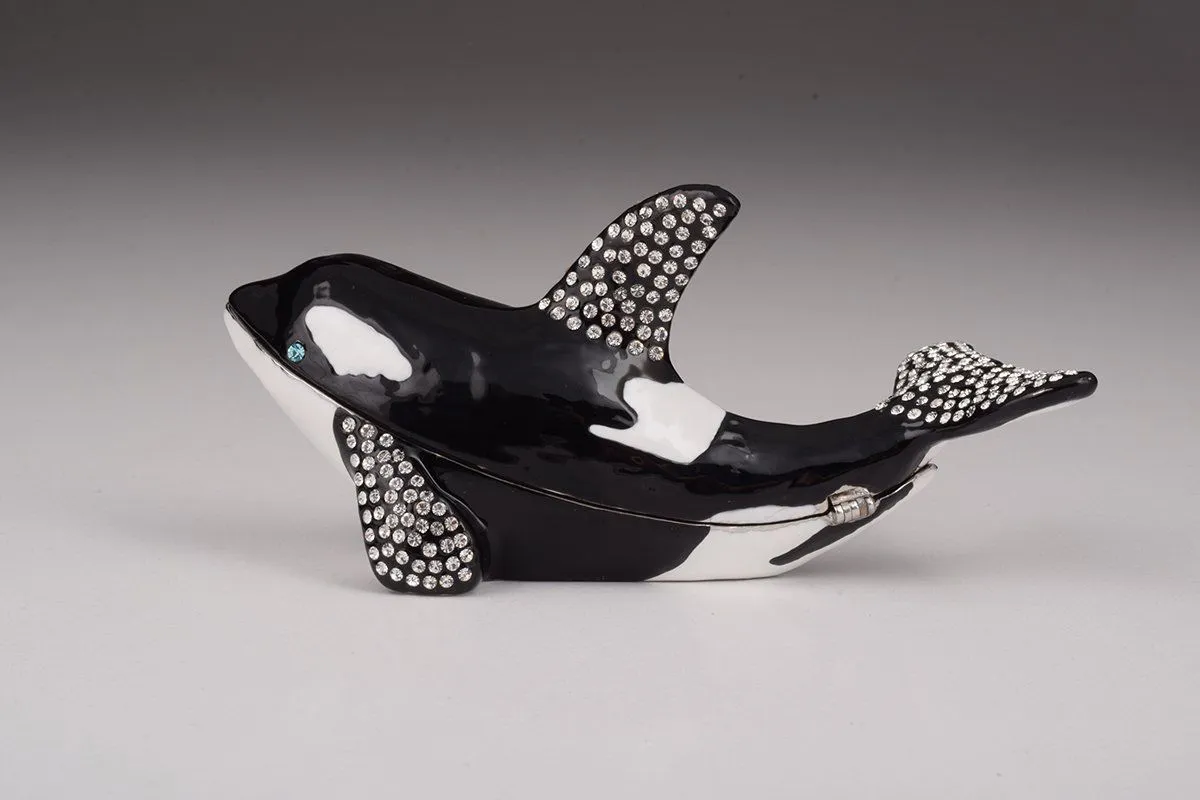 Orca Whale