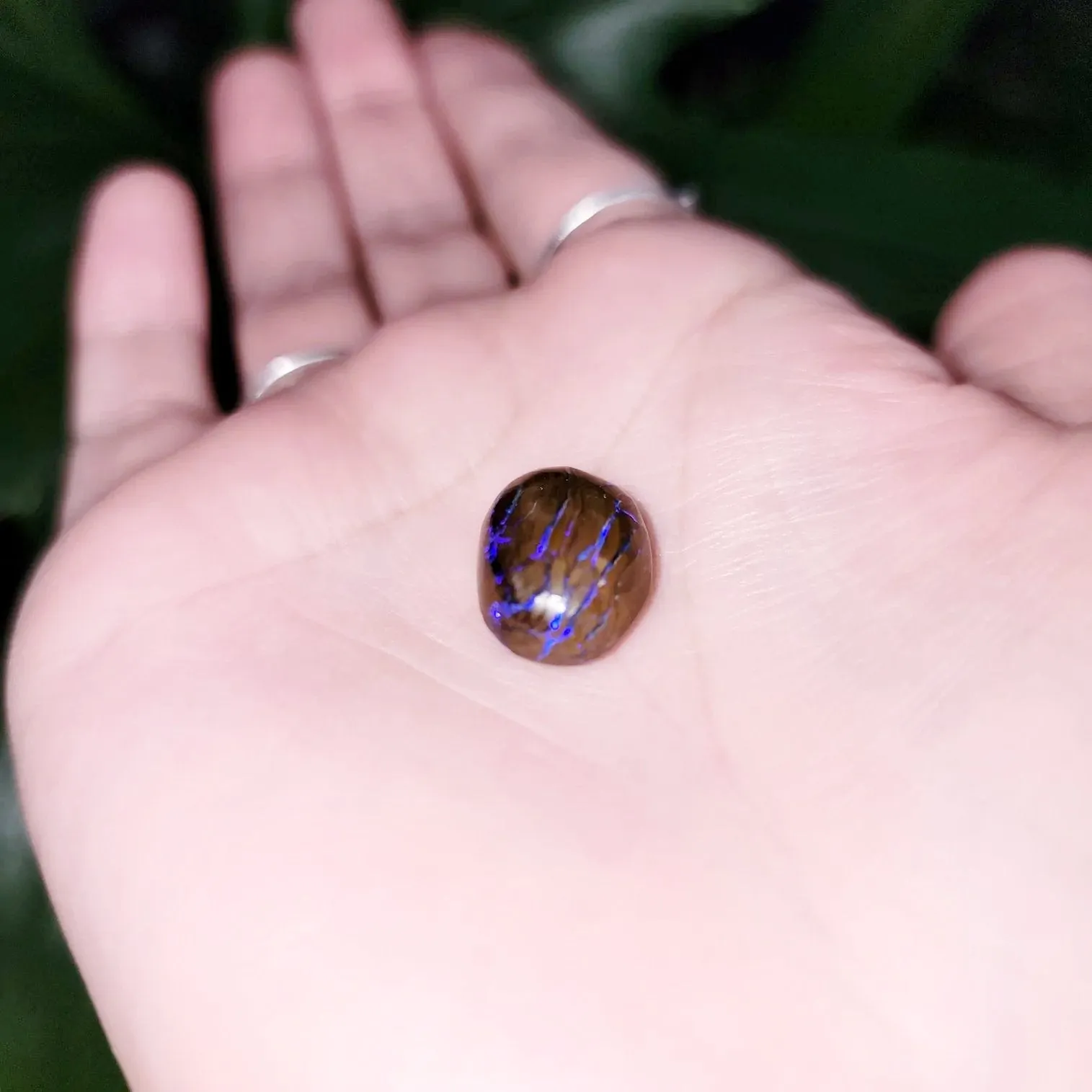 Purple Boulder Opal 12.6ct Cabochon Winton Matrix Round Polished Cut Stone