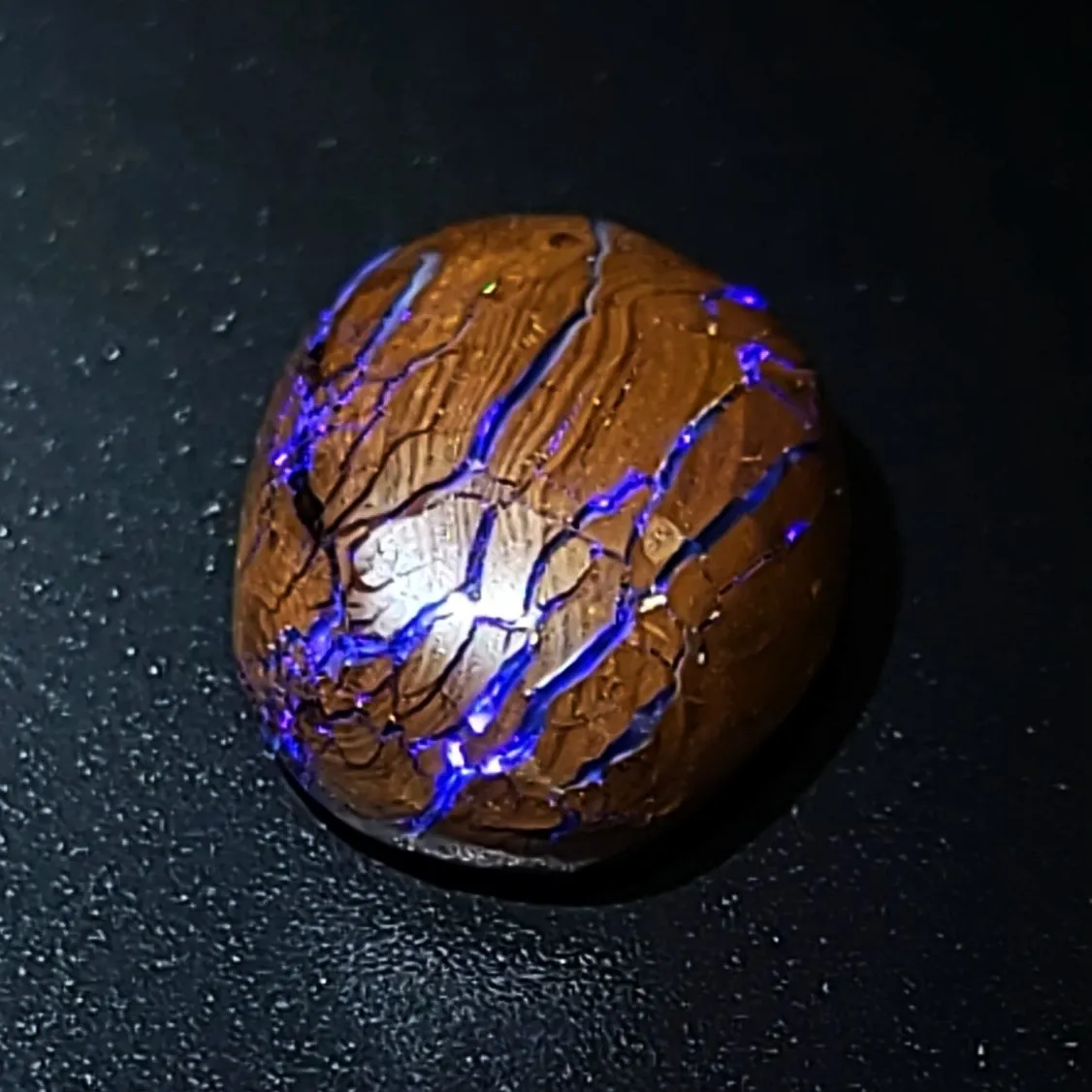 Purple Boulder Opal 12.6ct Cabochon Winton Matrix Round Polished Cut Stone