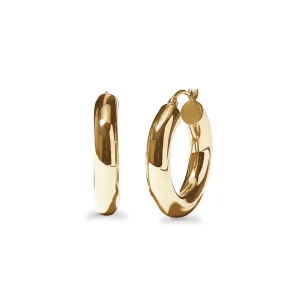 Round Polished Hoop Earrings in 9ct Yellow Gold