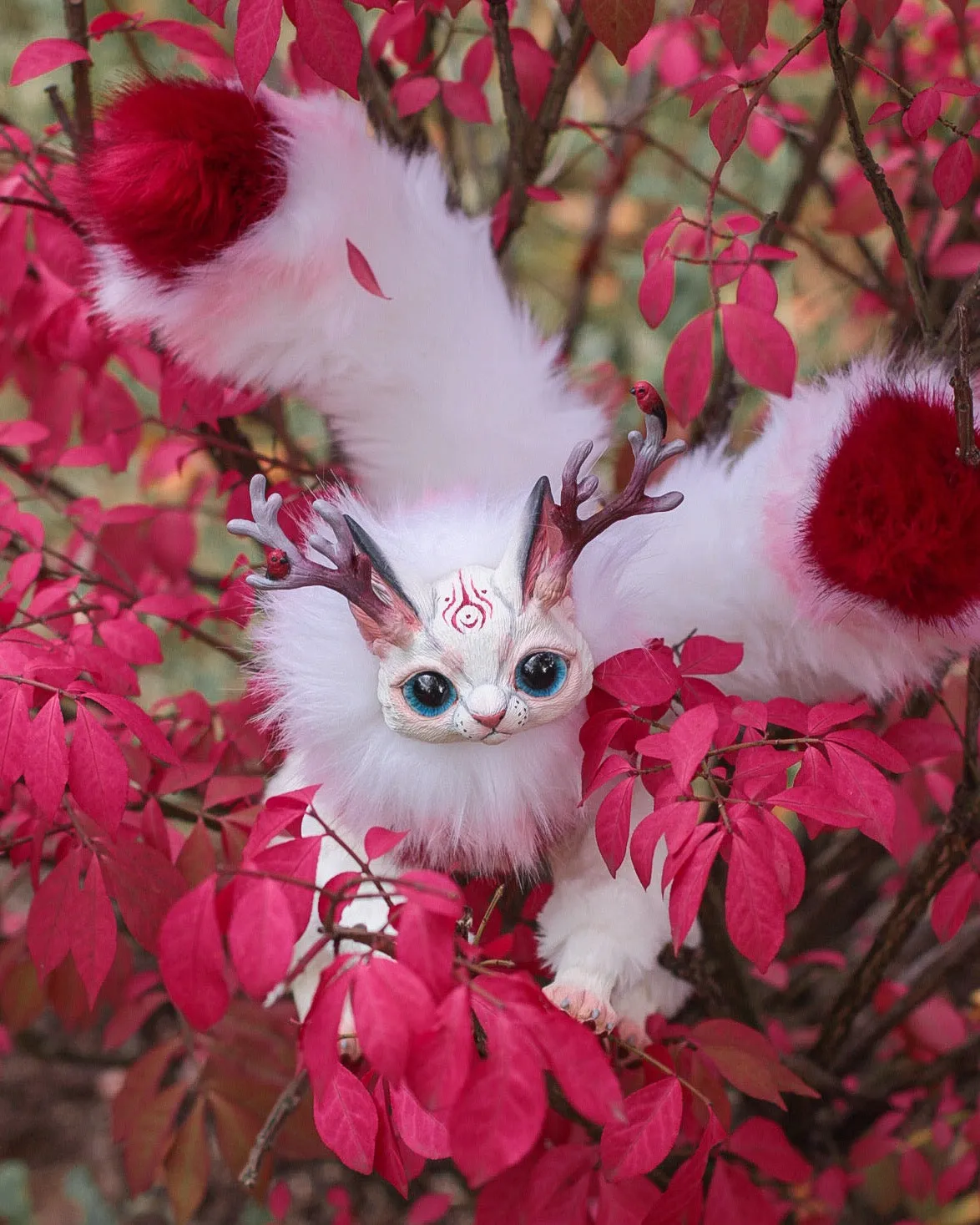 Sakura Kitsune Cat