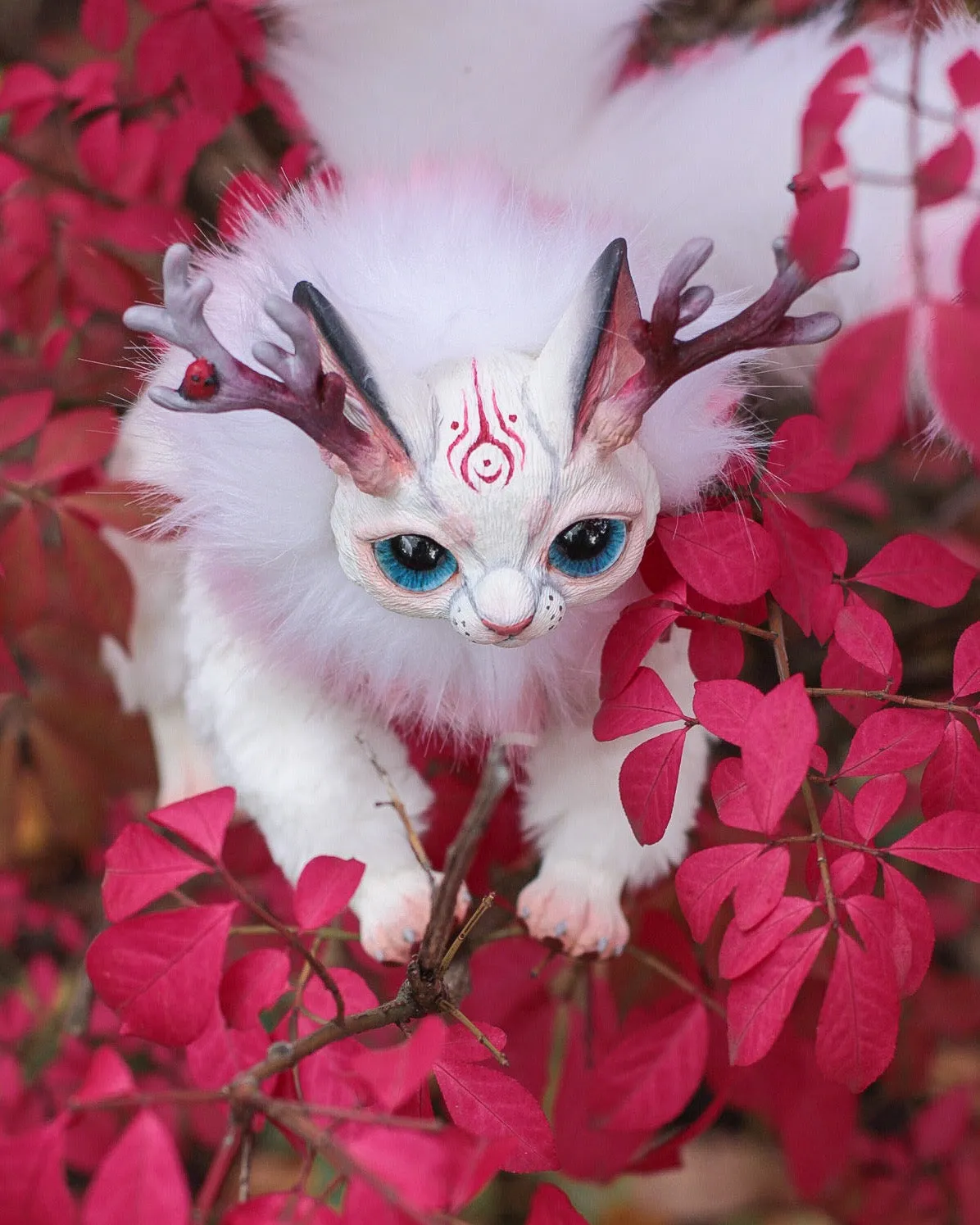 Sakura Kitsune Cat
