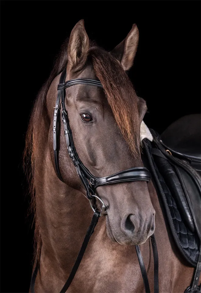 Schockemohle Theta Bridle Black & Silver