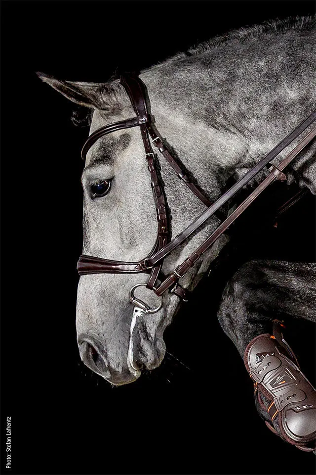 Schockemohle Theta Bridle Brown & Silver