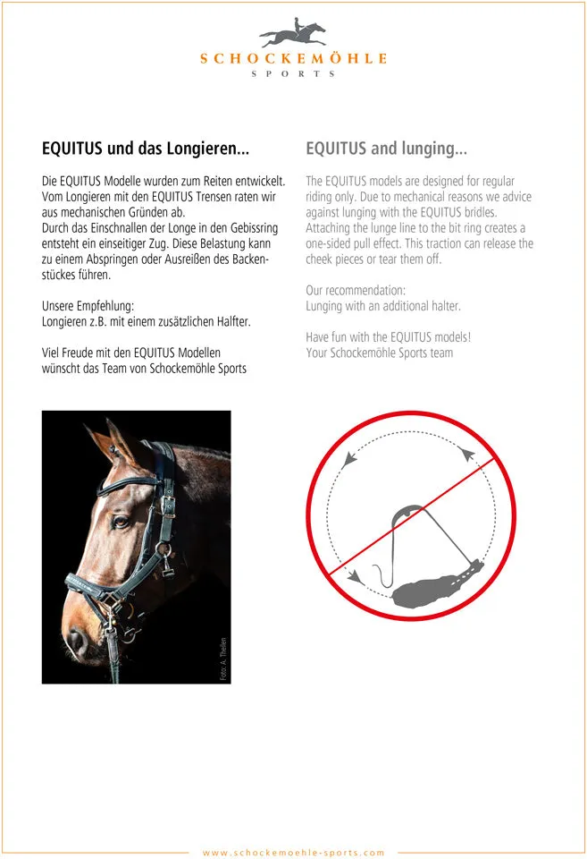 Schockemohle Theta Bridle Brown & Silver