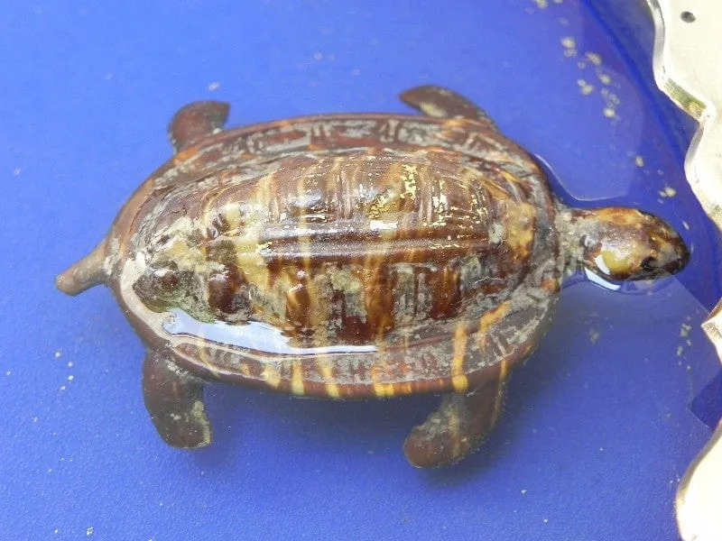 SOLD Gubelin Mystery Floating Turtle Water Clock, Rare, by Charles Hour